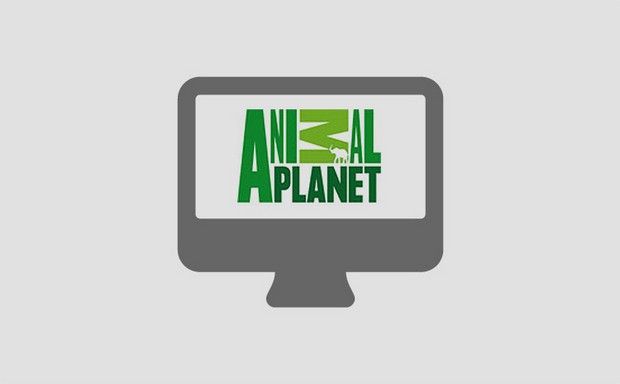 Animal Planet online stream élőben